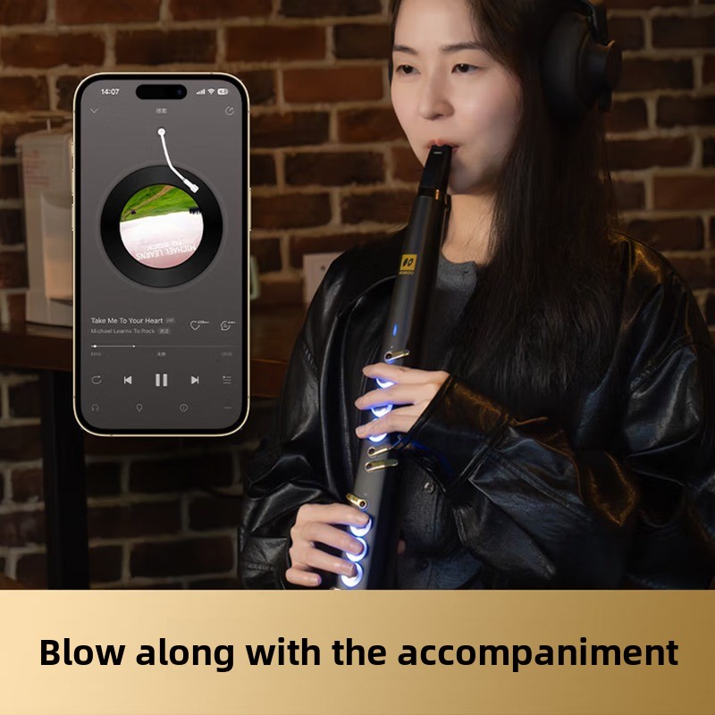 C20 트루 샘플링 국산 고급 지능형 전자 블로우, 전 - Musical Instrument You Blow 리뷰 및 가격