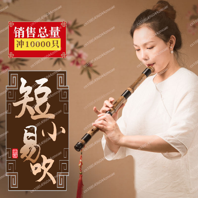 전문 연주용 홀 플루트 원대나무 짧은 샤오 플루트 악기 - Musical Instrument You Blow 리뷰 및 가격