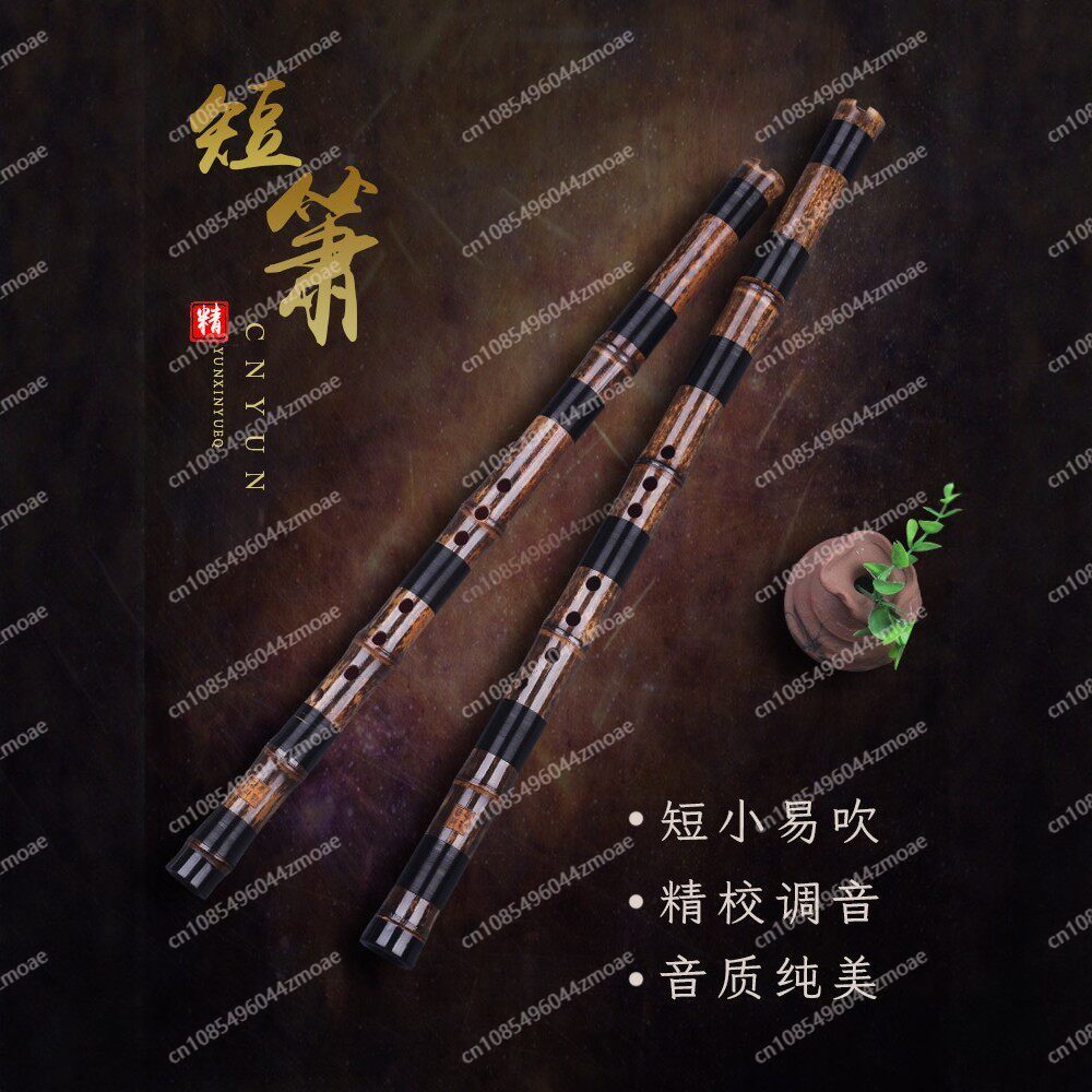 전문 연주용 홀 플루트 원대나무 짧은 샤오 플루트 악기 - Musical Instrument You Blow 리뷰 및 가격