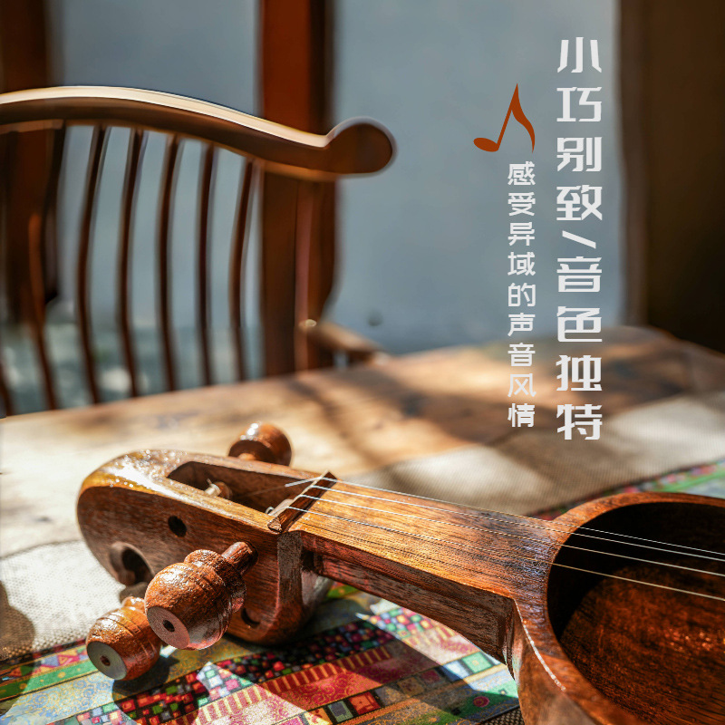 네팔 살랑기, 대체 바이올린, 무대 음악, 민족 그룹, - Musical Instrument Groups 리뷰 및 가격